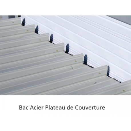 Bac Acier Plateau de Couverture