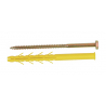 Boite de 25 Chevilles CQLT + Tirefond Ø10 x 80